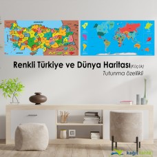 Colorful Small Turkey and World Map